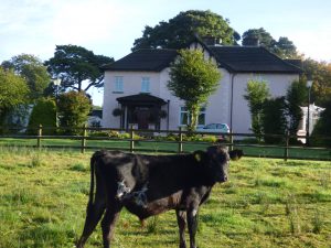 Riversdale Barge Holidays, Guesthouse and Boat building in Ireland